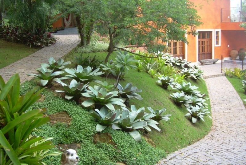 Aparar jardim em Setor de Grandes Áreas Norte (SGAN) foto 7
