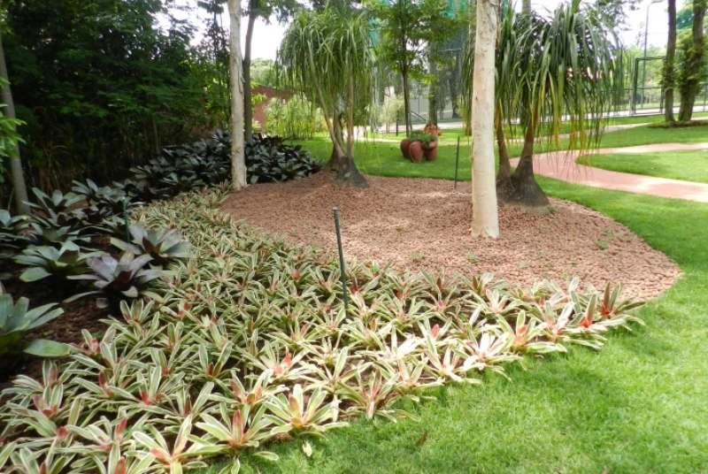 Aparar jardim em Setor de Grandes Áreas Norte (SGAN) foto 9